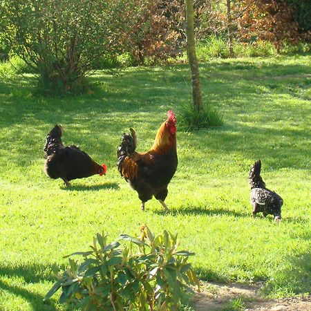 Gite De La Cour Bed & Breakfast Campandre-Valcongrain Exterior photo